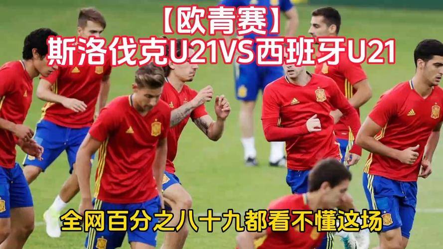 斯洛伐克胜波兰，成功晋级欧国足球八强赛的简单介绍