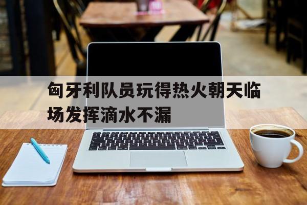 匈牙利队员玩得热火朝天临场发挥滴水不漏的简单介绍