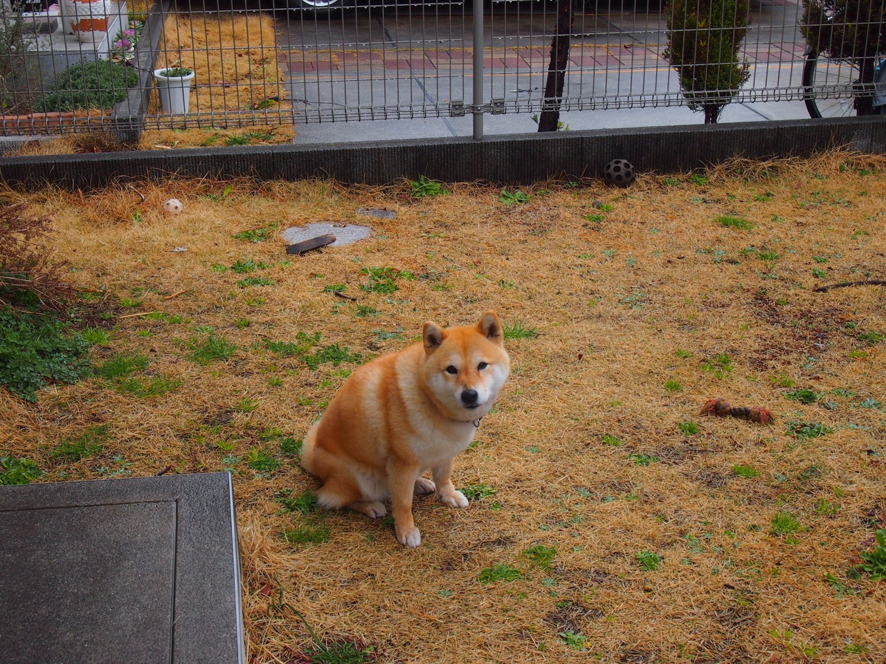 贝恩30分创赛季新高，火箭主场闪电战击溃广东