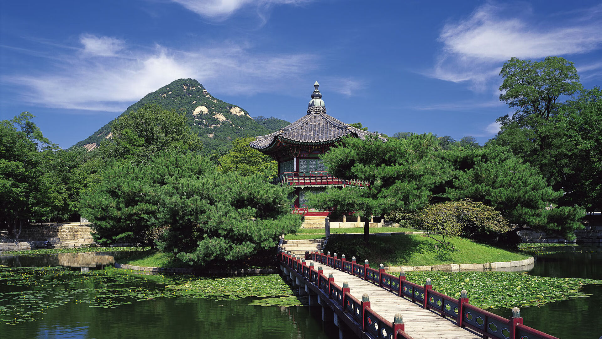 伊萨克压制级表现！奥运关键夜，梦想照进现实