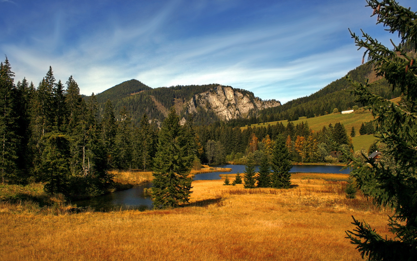 美加墨世界杯之夜，米切尔的无解表演让对手绝望