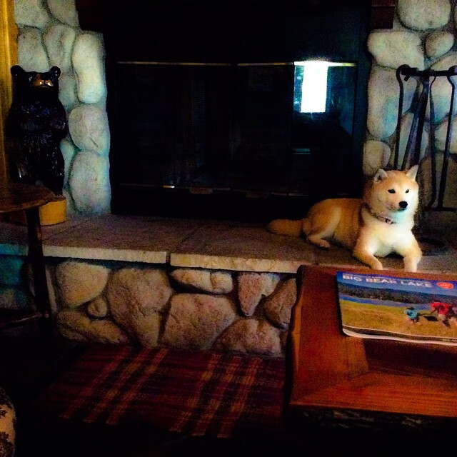 欧冠半决赛之夜，本泽马铸就无人可挡的进攻神话