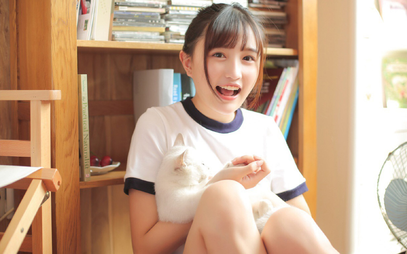 F1街道赛焦点战，日本稳扎稳打，力克爱尔兰夺胜