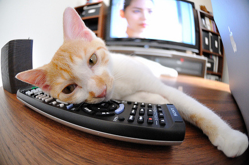 莫兰特里程碑之夜，掘金一波流击溃上海队